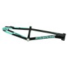 Stay Strong For Life V5.1 2026 Race Frame (Disc Only) - Tiffany & Black
