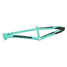 Stay Strong For Life V5.1 2026 Race Frame (Disc Only) - Tiffany & Black