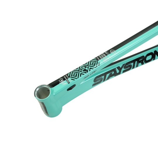Stay Strong For Life V5.1 2026 Race Frame (Disc Only) - Tiffany & Black