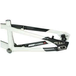 Stay Strong For Life V5.1 2026 Race Frame (Disc Only) - Black & White